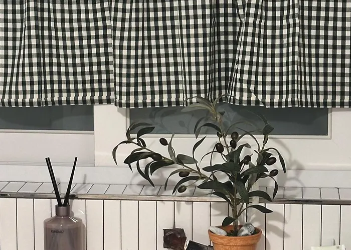 홍대신촌 올리브 Olive *